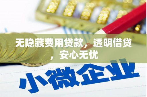 洛阳无隐藏费用贷款，透明借贷，安心无忧
