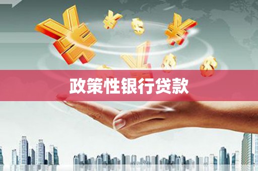 洛阳政策性银行贷款