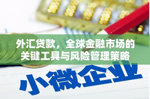 洛阳外汇贷款，全球金融市场的关键工具与风险管理策略