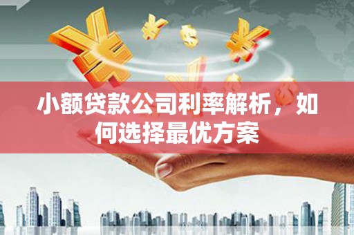 洛阳小额贷款公司利率解析，如何选择最优方案