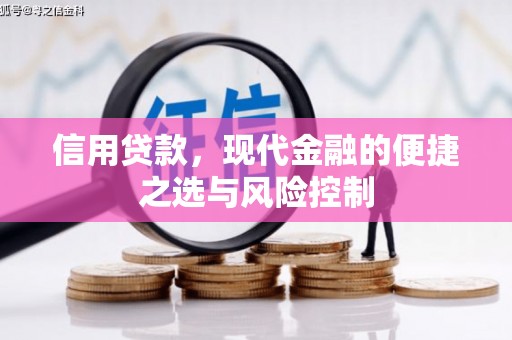 洛阳信用贷款，现代金融的便捷之选与风险控制