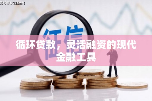 洛阳循环贷款，灵活融资的现代金融工具