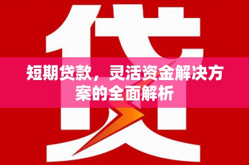 洛阳短期贷款，灵活资金解决方案的全面解析
