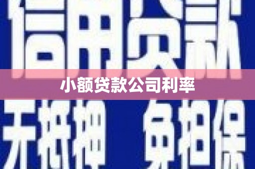 洛阳小额贷款公司利率