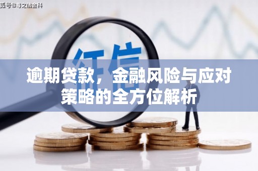 洛阳逾期贷款，金融风险与应对策略的全方位解析