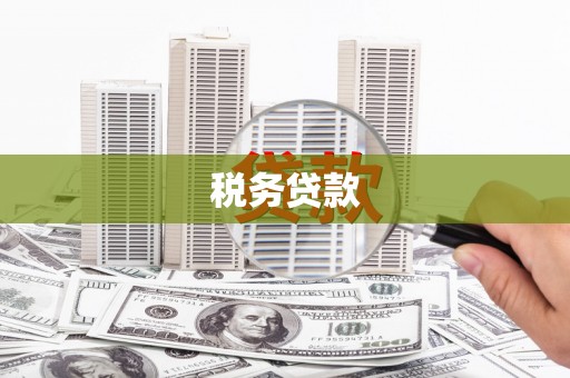 洛阳税务贷款