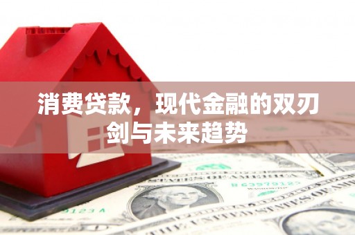 洛阳消费贷款，现代金融的双刃剑与未来趋势