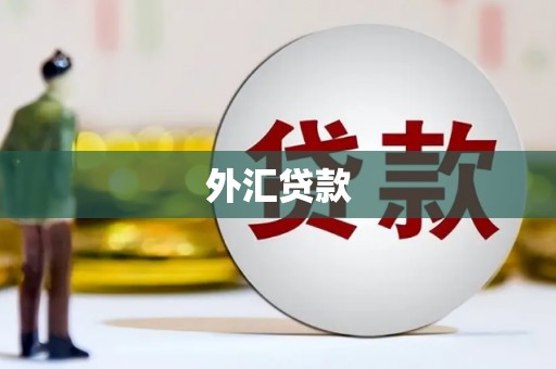 洛阳外汇贷款