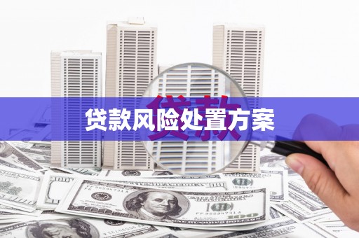 洛阳贷款风险处置方案