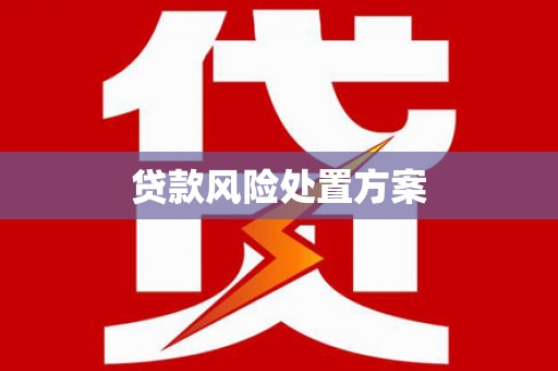 洛阳贷款风险处置方案