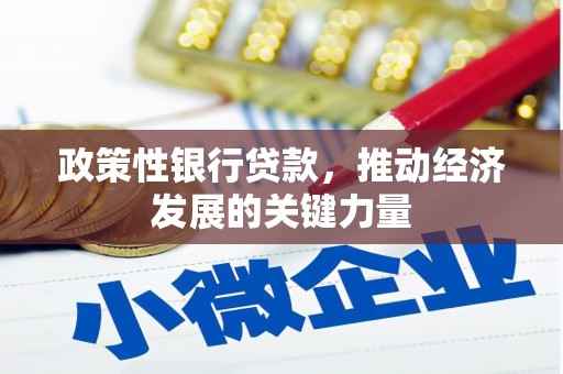洛阳政策性银行贷款，推动经济发展的关键力量