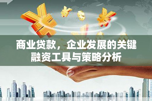 洛阳商业贷款，企业发展的关键融资工具与策略分析