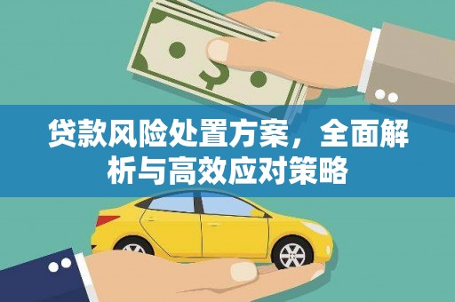 洛阳贷款风险处置方案，全面解析与高效应对策略