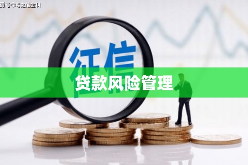 洛阳贷款风险管理