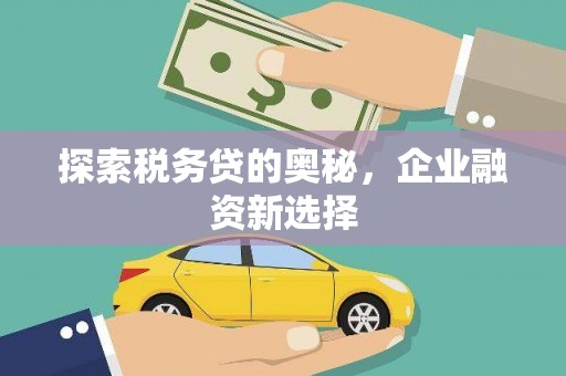 洛阳探索税务贷的奥秘，企业融资新选择