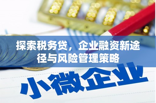 洛阳探索税务贷，企业融资新途径与风险管理策略