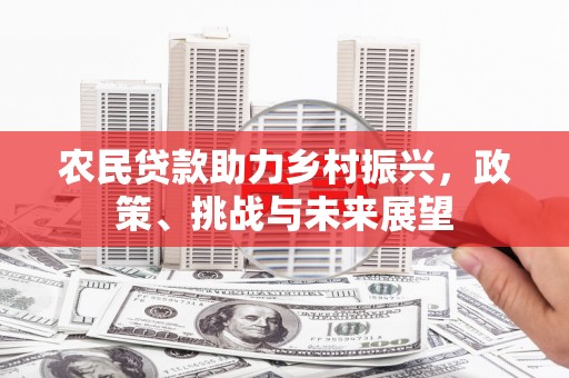 洛阳农民贷款助力乡村振兴，政策、挑战与未来展望