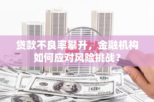 洛阳贷款不良率攀升，金融机构如何应对风险挑战？
