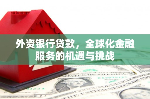 洛阳外资银行贷款，全球化金融服务的机遇与挑战