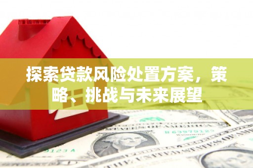 洛阳探索贷款风险处置方案，策略、挑战与未来展望