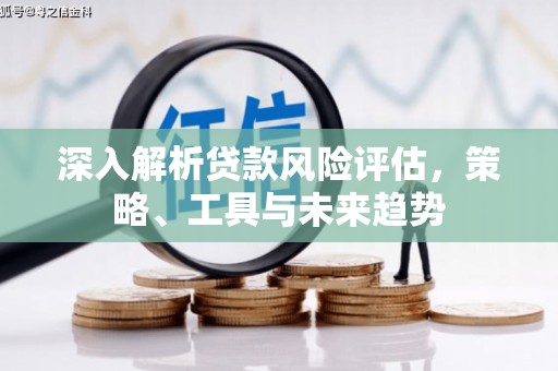 洛阳深入解析贷款风险评估，策略、工具与未来趋势