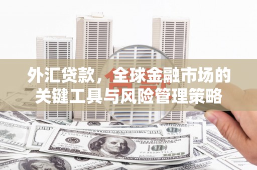 洛阳外汇贷款，全球金融市场的关键工具与风险管理策略