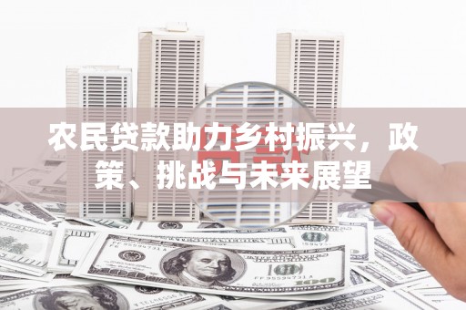 洛阳农民贷款助力乡村振兴，政策、挑战与未来展望