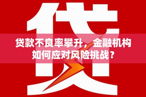 洛阳贷款不良率攀升，金融机构如何应对风险挑战？
