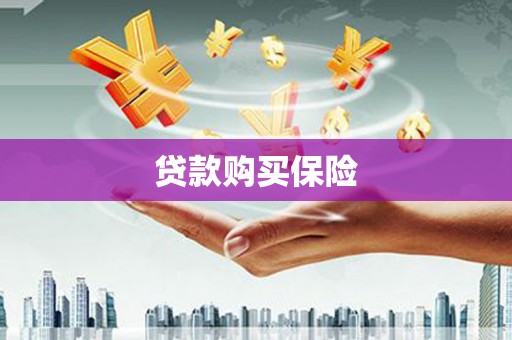 洛阳贷款购买保险