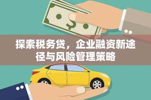 洛阳探索税务贷，企业融资新途径与风险管理策略