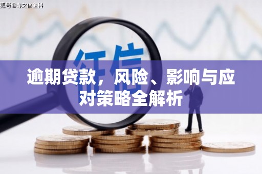 洛阳逾期贷款，风险、影响与应对策略全解析