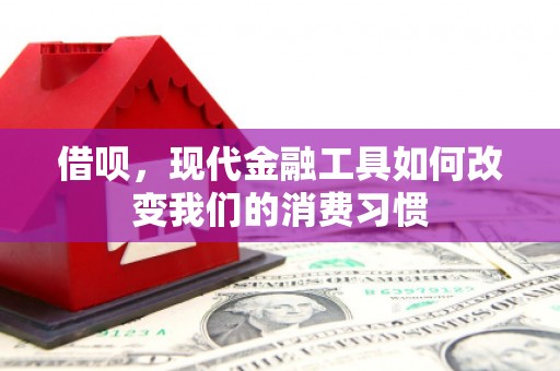 洛阳借呗，现代金融工具如何改变我们的消费习惯