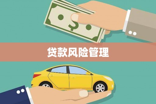 洛阳贷款风险管理