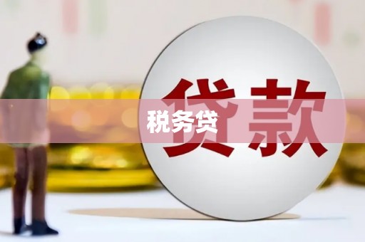 洛阳税务贷