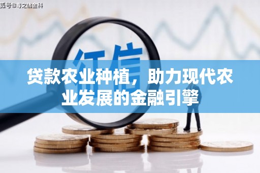 洛阳贷款农业种植，助力现代农业发展的金融引擎