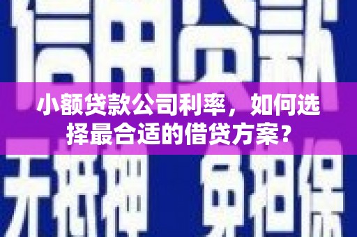 洛阳小额贷款公司利率，如何选择最合适的借贷方案？