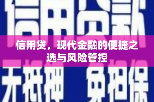 洛阳信用贷，现代金融的便捷之选与风险管控