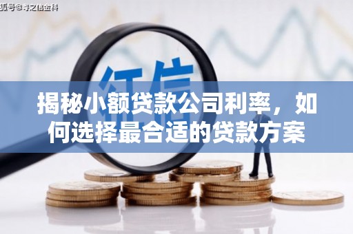 洛阳揭秘小额贷款公司利率，如何选择最合适的贷款方案
