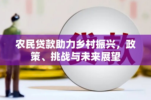 洛阳农民贷款助力乡村振兴，政策、挑战与未来展望