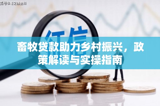 洛阳畜牧贷款助力乡村振兴，政策解读与实操指南