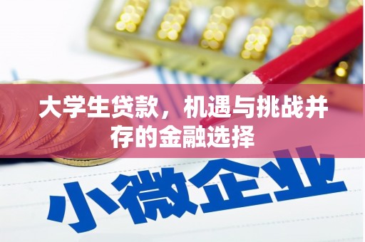 洛阳大学生贷款，机遇与挑战并存的金融选择
