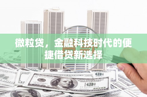 洛阳微粒贷，金融科技时代的便捷借贷新选择