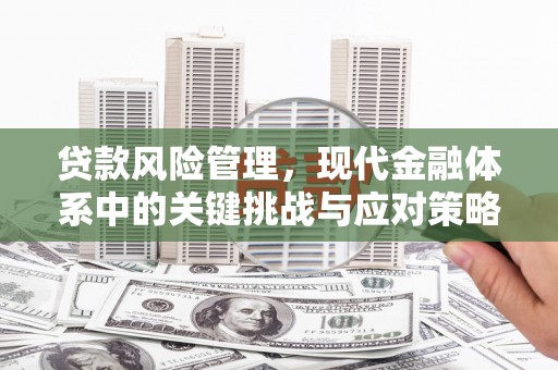 洛阳贷款风险管理，现代金融体系中的关键挑战与应对策略