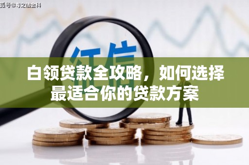 洛阳白领贷款全攻略，如何选择最适合你的贷款方案